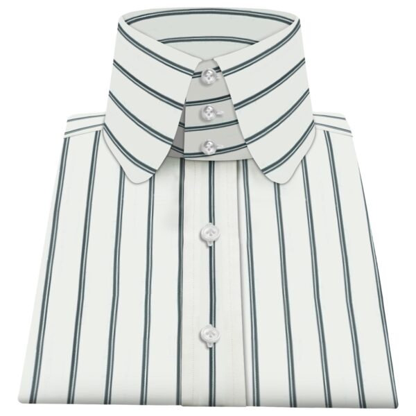 Wide White Stripes High Penny Collar 3B